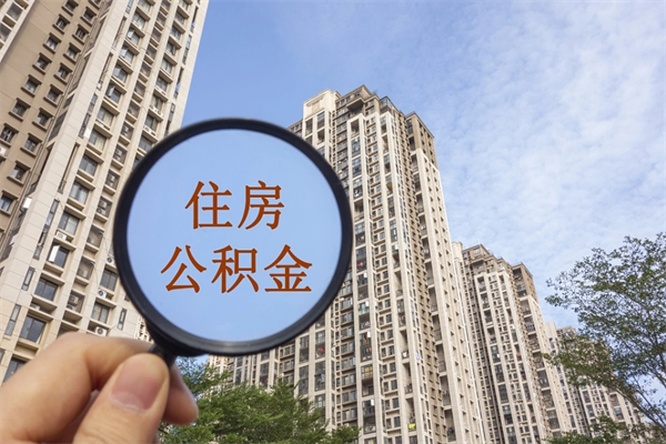 仁怀辞职多久公积金可以全部取出来吗（辞职之后公积金多长时间可以取）